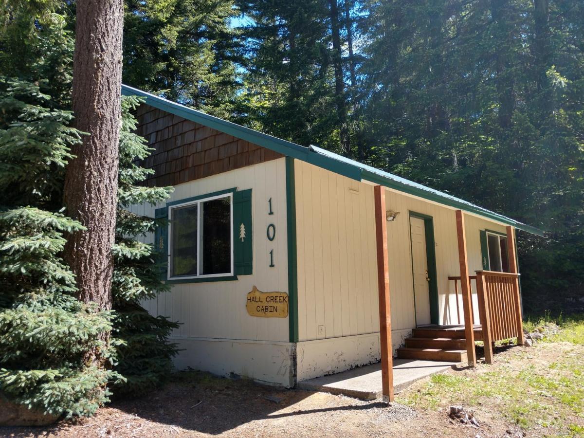 Hall Creek Cabin Packwood Exterior foto